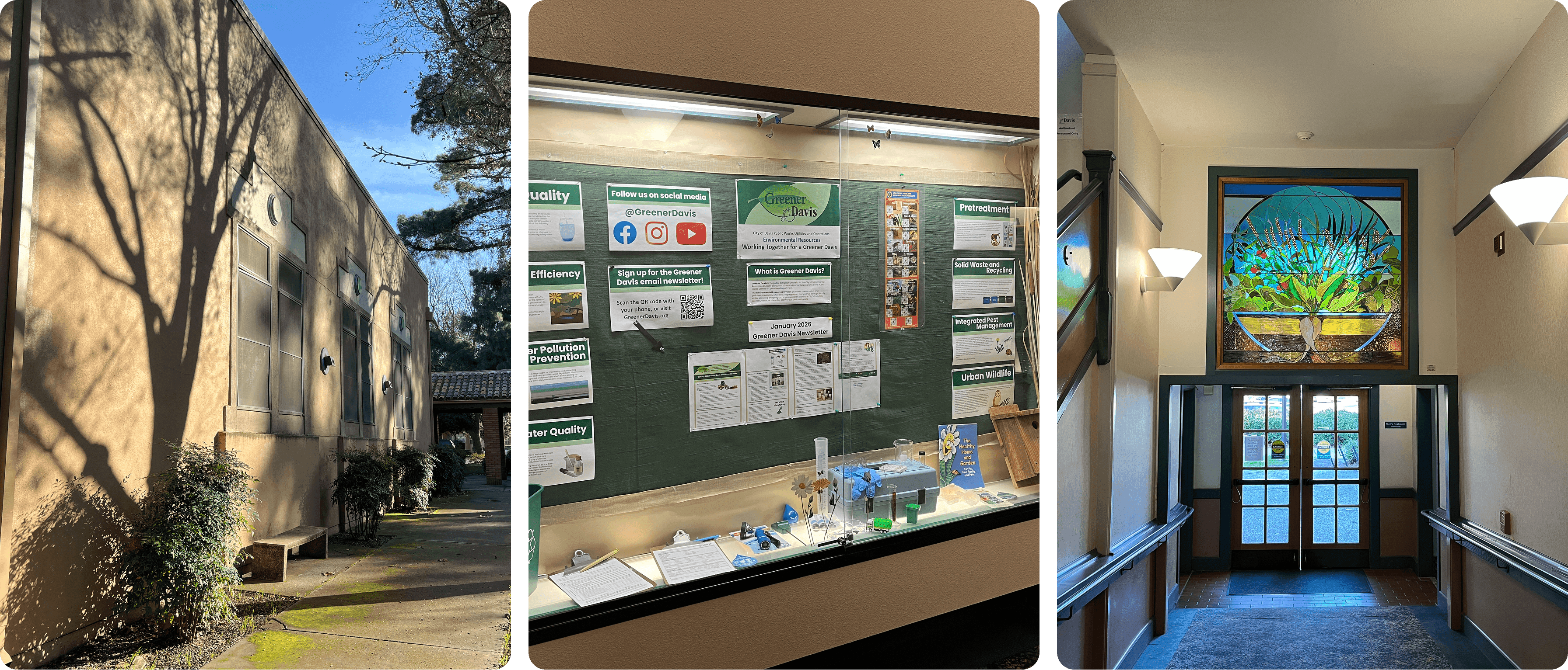 Photos from inside Davis City Hall: bulletin boards in a side hallway, stained-glass art, and the lobby